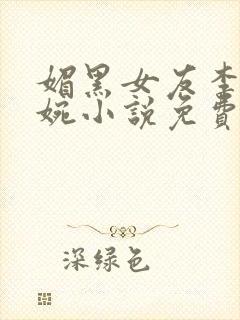 媚黑女友李辰苏婉小说免费阅读