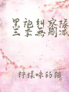 黑袍纠察队 第三季无删减