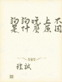 狗狗晚上不睡觉是什么原因