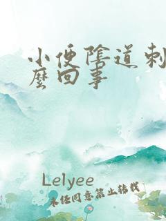 小便阴道刺痛怎么回事