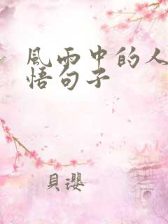 风雨中的人生感悟句子