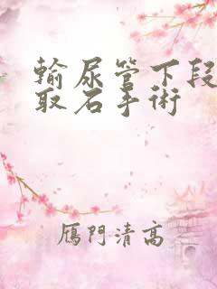 输尿管下段结石取石手术