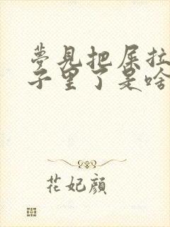 梦见把屎拉裤兜子里了是啥意思