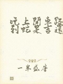 晚上开车路上压到蛇是吉还是凶