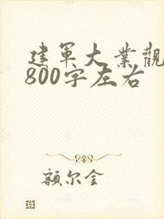 建军大业观后感800字左右