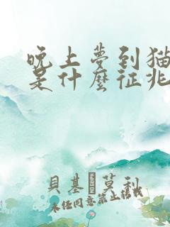 晚上梦到猫咬我是什么征兆