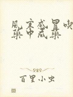 风寒感冒吃什么药中成药