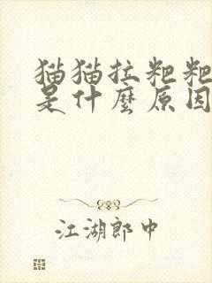 猫猫拉粑粑有血是什么原因