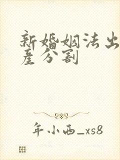 新婚姻法出轨财产分割