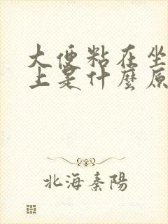 大便粘在坐便器上是什么原因