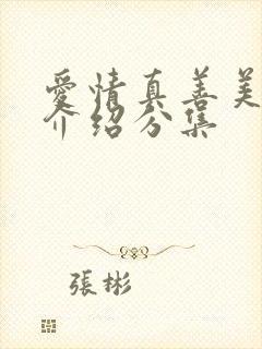 爱情真善美剧情介绍分集