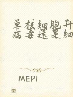 单核细胞升高是病毒还是细菌