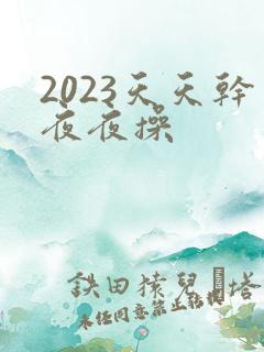 2023天天干夜夜操