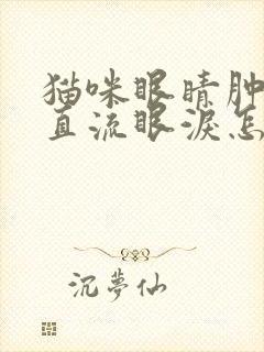 猫咪眼睛肿了一直流眼泪怎么办