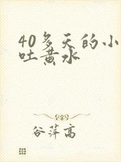 40多天的小猫吐黄水