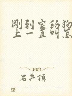 刚到家的狗狗晚上一直叫怎么办