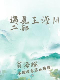 遇见王沥川2第二部