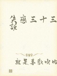 失恋三十三天小说