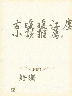 古暖暖江尘御的小说推荐,