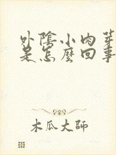 外阴小肉芽很痒是怎么回事