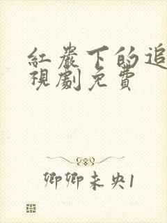 红岩下的追捕电视剧免费