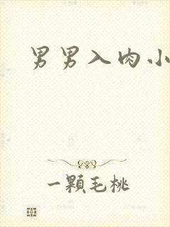 男男入肉小说