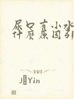 尿口有小水泡是什么原因引起的