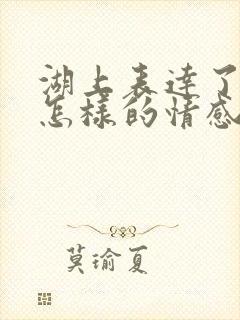 湖上表达了诗人怎样的情感