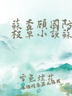 苏杳顾国防四大校草小说苏家有女