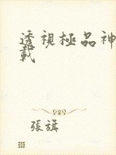 透视极品神医下载