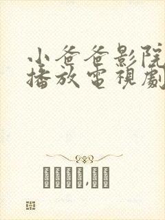 小爸爸影院免费播放电视剧