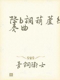 降b调葫芦丝伴奏曲