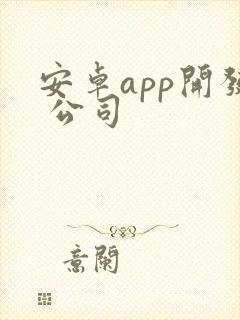 安卓app开发 公司