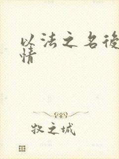 以法之名后续剧情