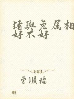 猪与兔属相婚配好不好