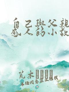 自己与父亲之间感人的小故事