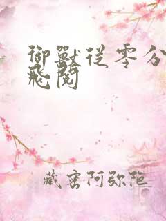 御兽从零分开始飞阅