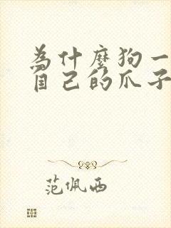 为什么狗一直舔自己的爪子