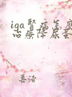 iga肾病怎么治疗降尿蛋白