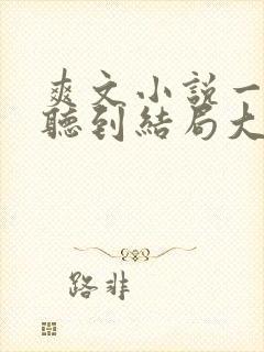 爽文小说一口气听到结局大女主