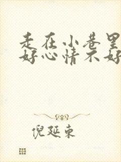 走在小巷里心情好心情不好小练笔