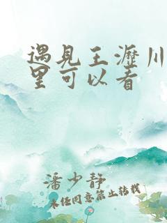 遇见王沥川在哪里可以看