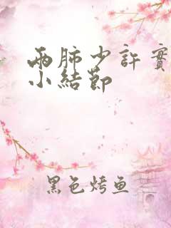 两肺少许实性微小结节