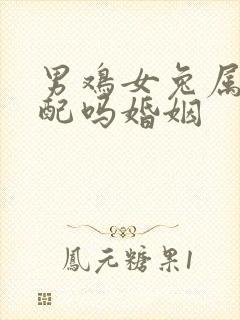 男鸡女兔属相相配吗婚姻