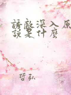 诱敌深入原著小说是什么