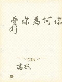 爱你为何你不懂dj