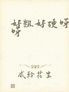 好粗好硬呀好爽呀