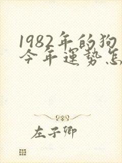 1982年的狗今年运势怎么样