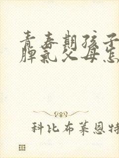 青春期孩子爱发脾气父母怎么办