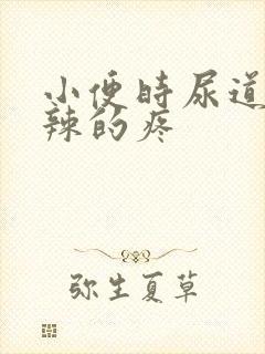 小便时尿道火辣辣的疼